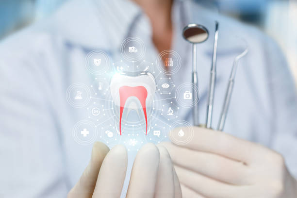 Best Cosmetic Dentistry  in Highland Falls, NY